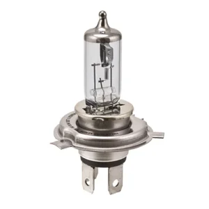 GLOBE H7 24V HALOGEN