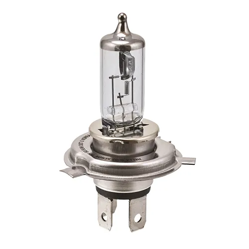 GLOBE H7 24V HALOGEN